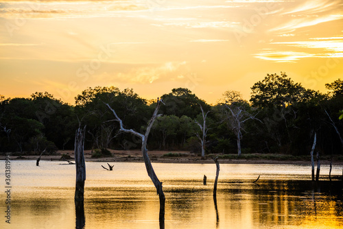 Fotografie a quiet lake with dead trees and a golden sky, sunset and sunrise in yala nation