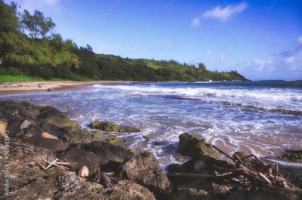 A beach on Kauai, Hawaii