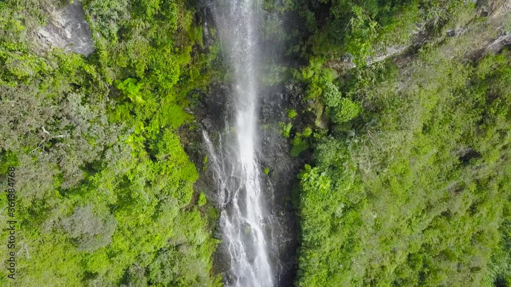Frontal Drone Shot Of A Long White Strong Waterfall Falling Between Beautiful Green Flora With The Camera Panning Slowly From Bottom To Top In Banos Ecuador Frontal Drone Shot Of A Long White Strong Waterfall Falling Between Beautiful Green Flora With The Camera Panning Slowly From Bottom To Top In Banos Ecuador