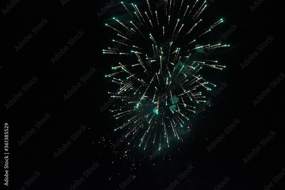 Fuegos artificiales / Fireworks Fuegos artificiales / Fireworks