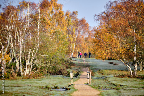 On a frosty autumn morning, Group of four going for a walk on this lovely morning sun, in Brockenhurt, New Forest NP