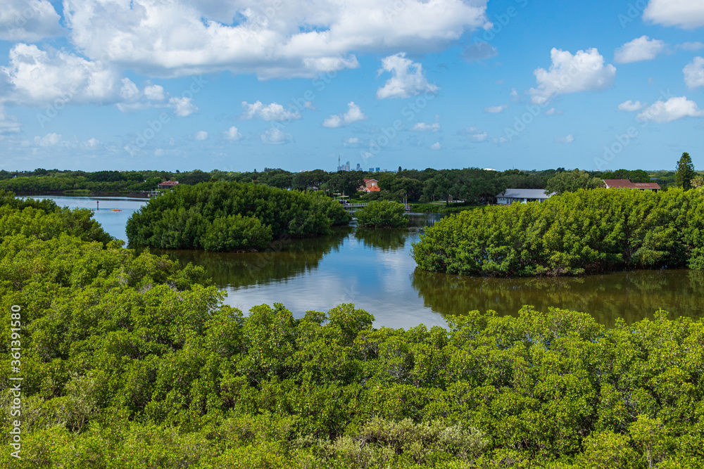 Weedon Island State Preserve, Mangroves and Waterway