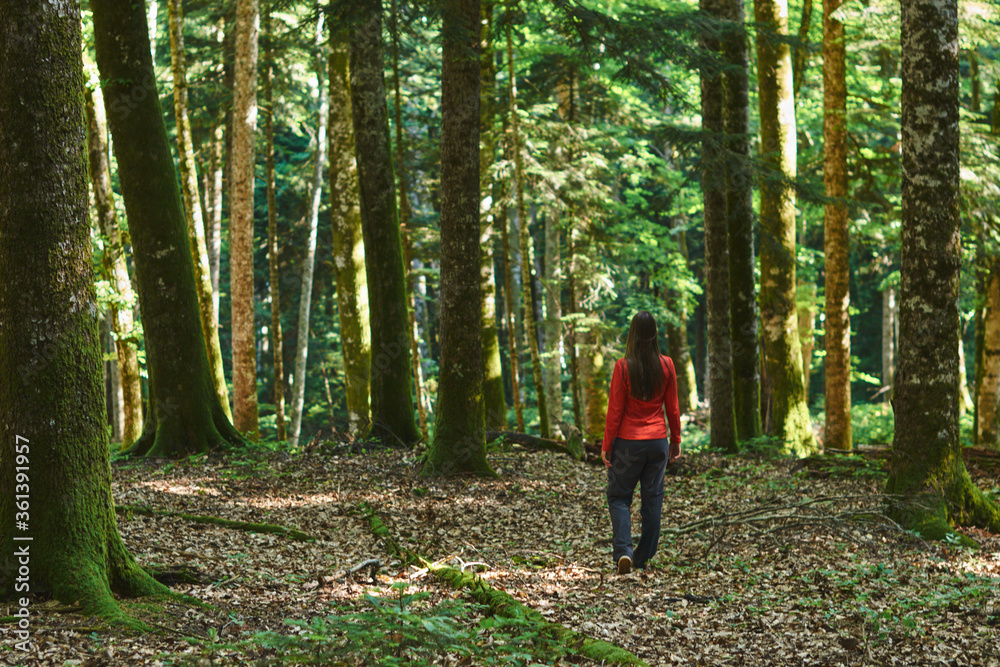 Woman stands in a confireous forest without a road. Lost in the woods. Woman stands in a confireous forest without a road. Lost in the woods.