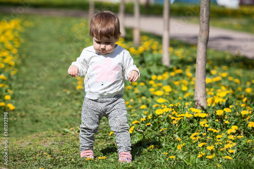 Toddler girl walks on green pathway between yellow flowers, balancing with her hands