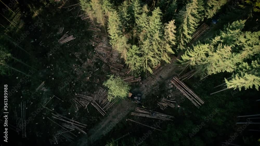 Tree harvester in forest aerial shot Tree harvester in forest aerial shot