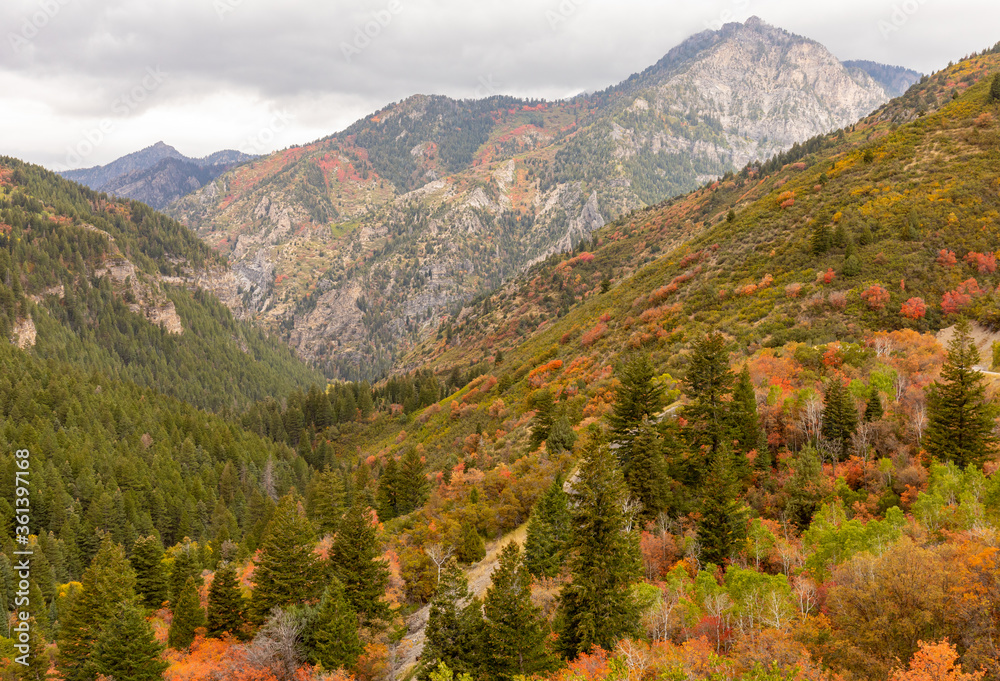 Scenic LAndscape in the Utah Mountains in Autumn