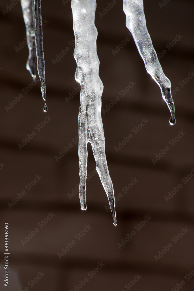 Icicle outdoors and dripping Icicle outdoors and dripping