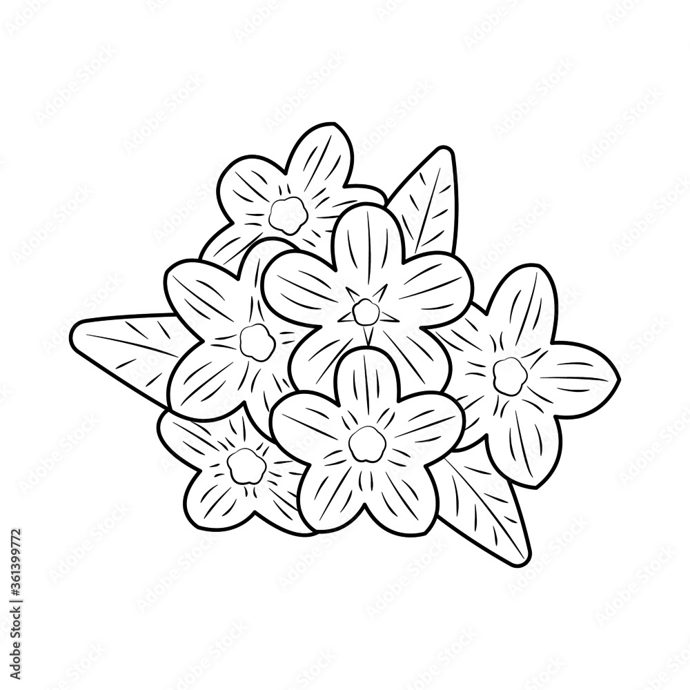 Obraz premium flower summer design decorative graphic decor