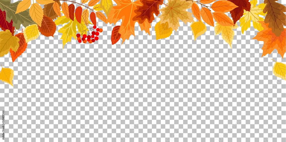 autumn  leaves