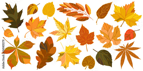 set of isolated  leaves