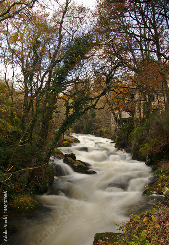 Streams and rapids of river in long exposure in spring in Galicia