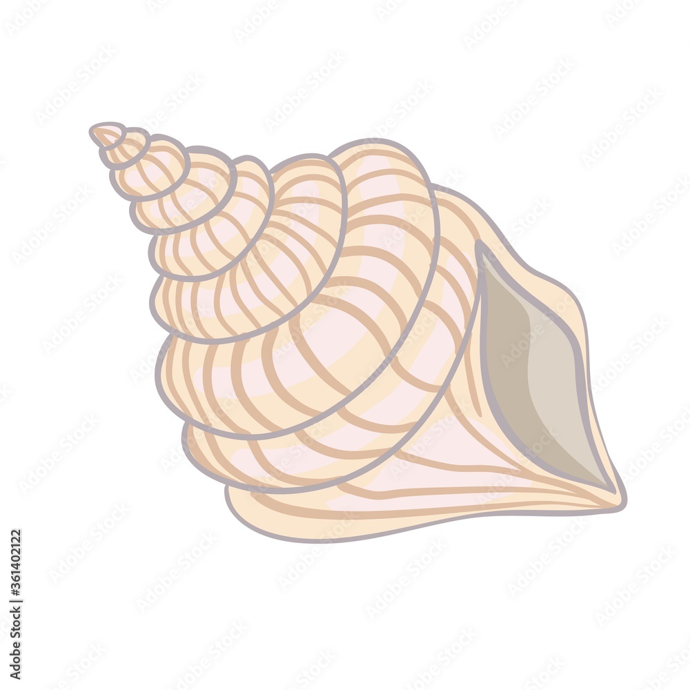 Textured vector illustration of an isolated peach seashell. Textured vector illustration of an isolated peach seashell.