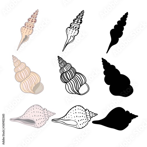 Hand drawn vector illustrations - collection of seashells. Marine set. Perfect for invitations, greeting cards, posters, prints, banners, flyers etc
