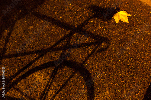 autumn yellow maple leaf on night asphalt city road with shadow of bicycle autumnal mood card