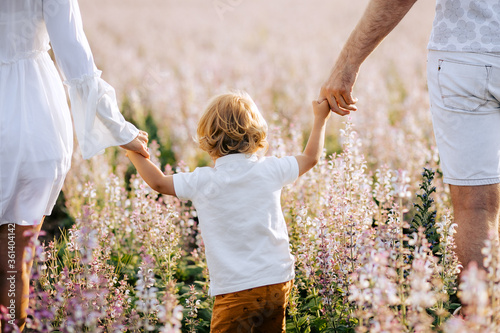 Happy young family mother father and son walk on nature on sunset hold hand. Back view. Parents playing with their child outside in a field with pink sage flower. Space for copy. From behind.