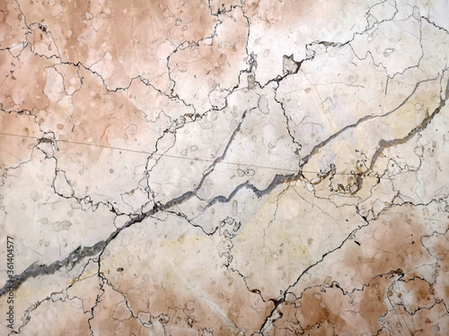 very old and rare under water shell surface marble stone