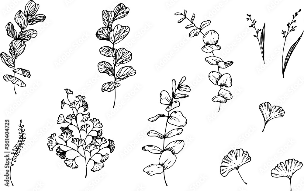 Fototapeta premium Linear tropical leaves. Monstera, eucalyptus, fern, ginkgo, banana leaf, palm leaf, etc. Hand drawn illustration. perfect for invitation cards, summer decor, greeting cards, posters, scrapbooking