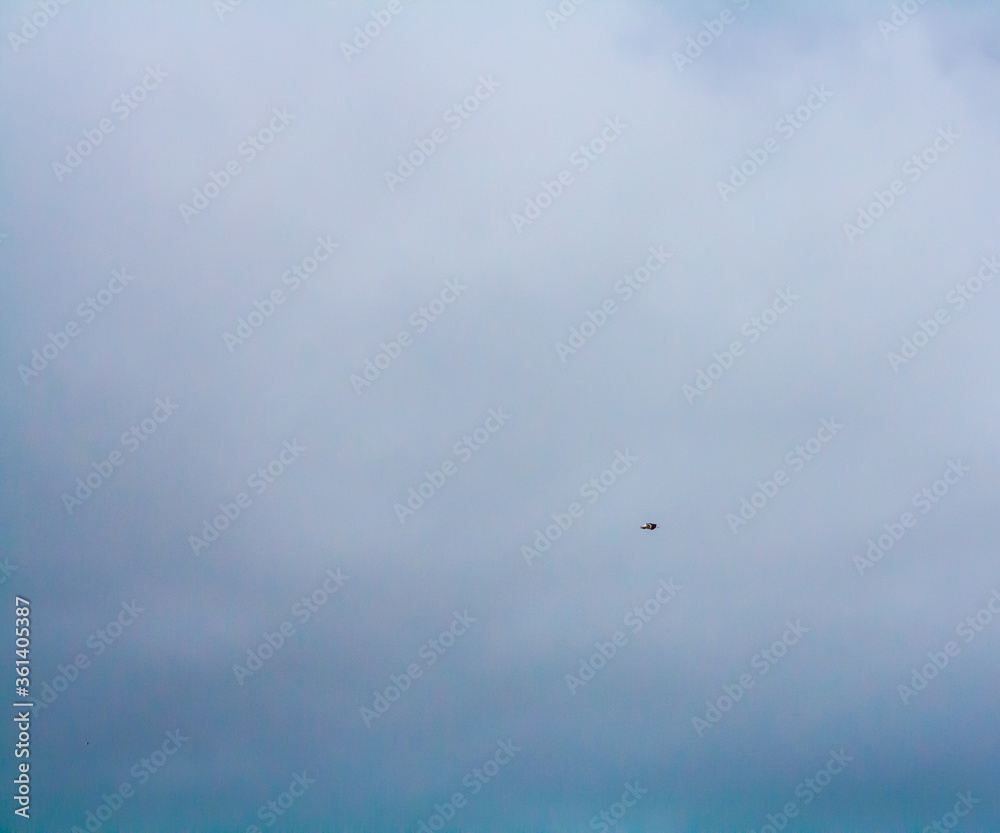 Fototapeta premium flight over the sea