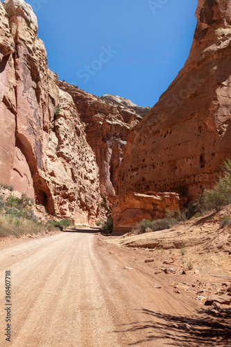 Dirt Road in the Desert