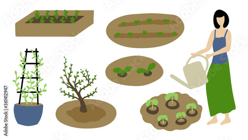 spring set. watering and caring for plants. garden beds with seedlings. Girl watering the sprouts. Plants in the spring garden