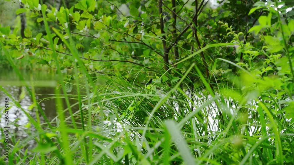 Vegetation and river at the upper Spreeforest, familiy passing with canoe Vegetation and river at the upper Spreeforest, familiy passing with canoe