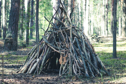 An old hut made of dry pine branches for sleeping in a fairy forest