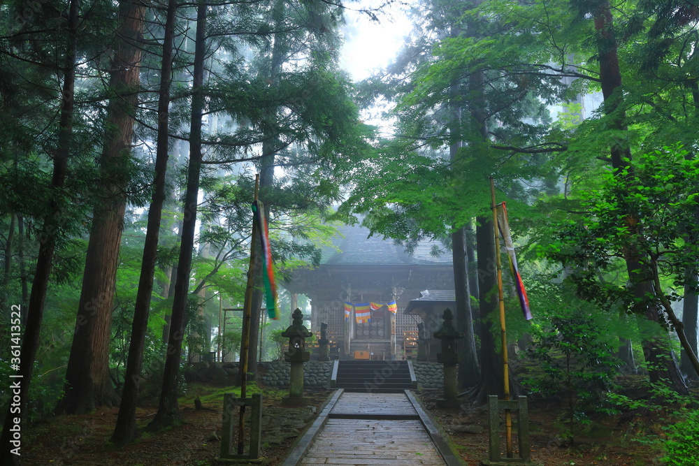 Fototapeta premium 世界遺産 霧の中尊寺