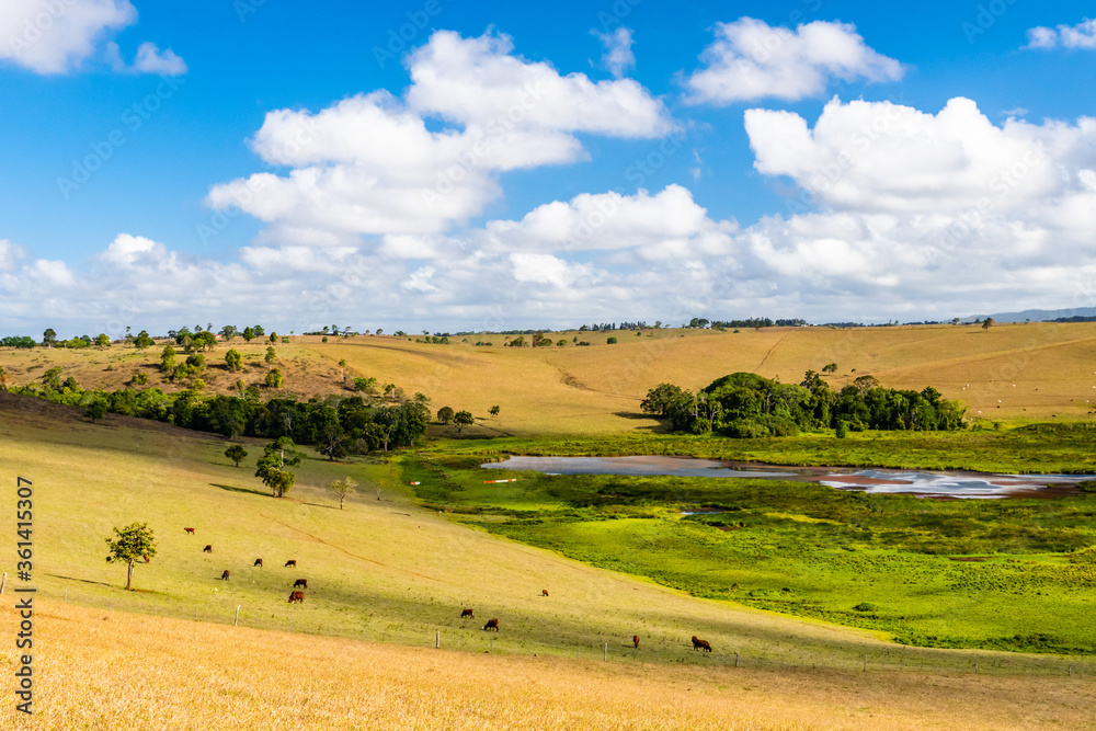 Queensland countryside landscape in the dry season