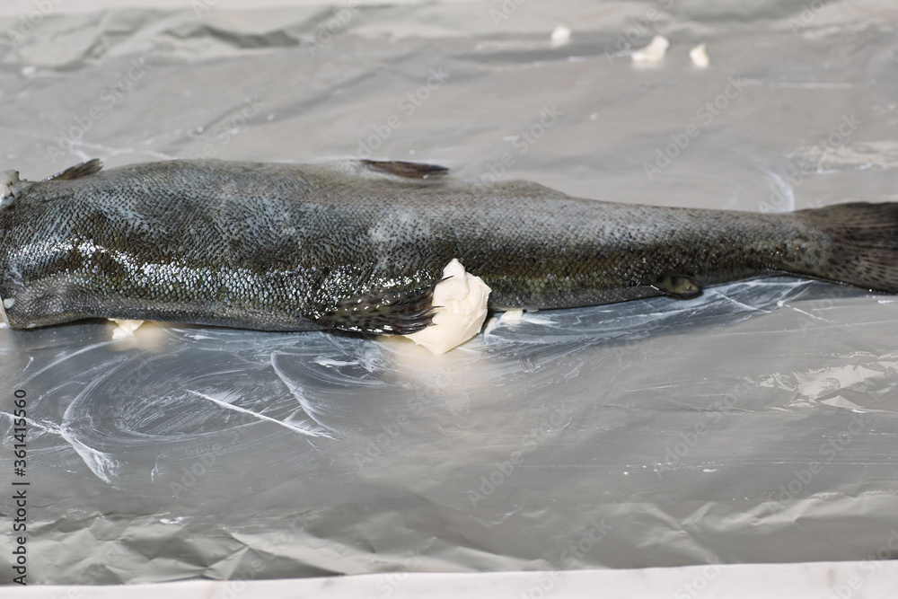 Fototapeta premium Trout.