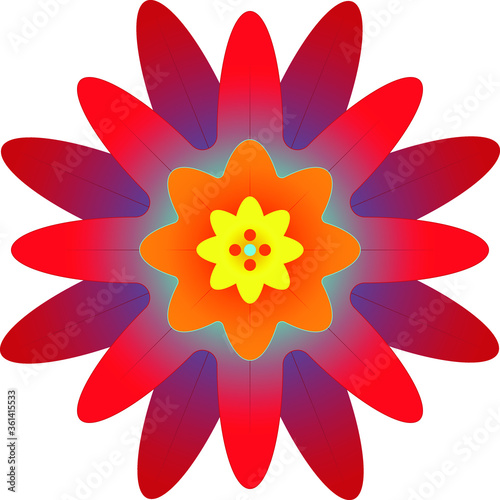 fabulous red flower with various shades of color