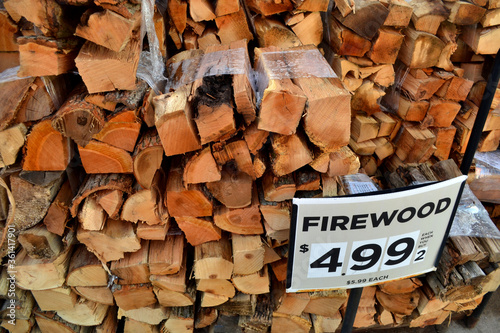 Bundle of Firewood Closeup View