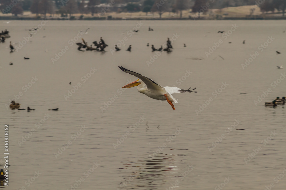 White Rock Lake. Dallas, Texas.