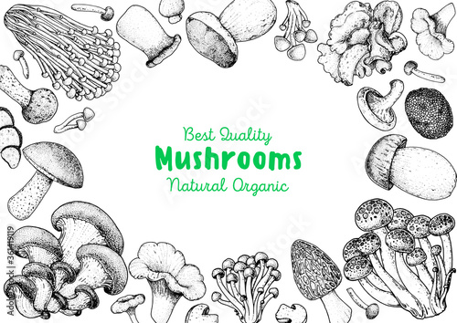 Edible mushrooms hand drawn sketch. Vector illustrations collection. Hand drawn food. Vintage mushrooms sketch. Organic food. Forest mushrooms. Vintage mushrooms background. Healthy food illustration.