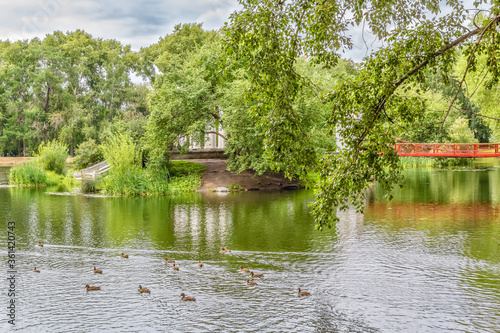 Suspension bridge and ducks on the pond, Russia, Yekaterinburg