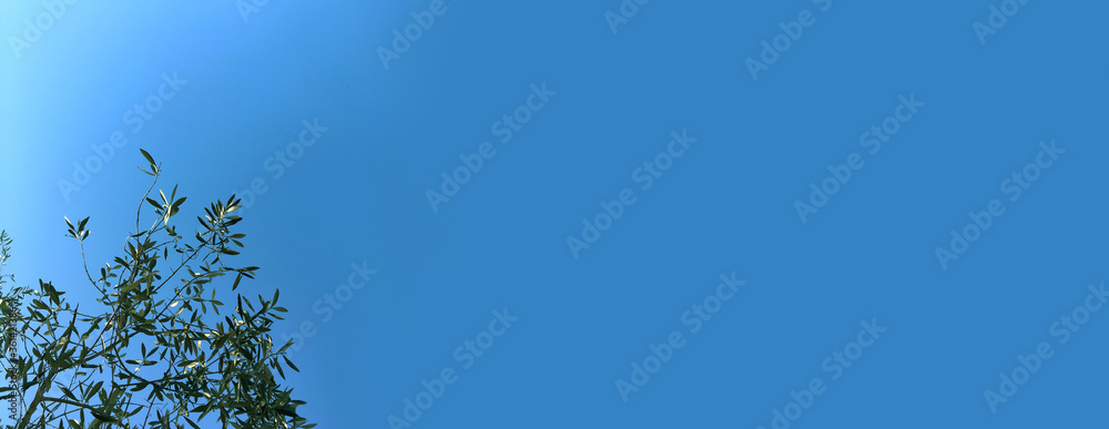 background in the blue sky with trees