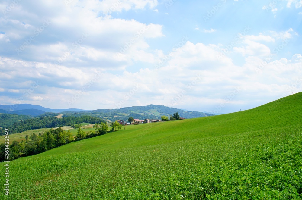 Hilly landscape with the green fields on the blue sky background.
