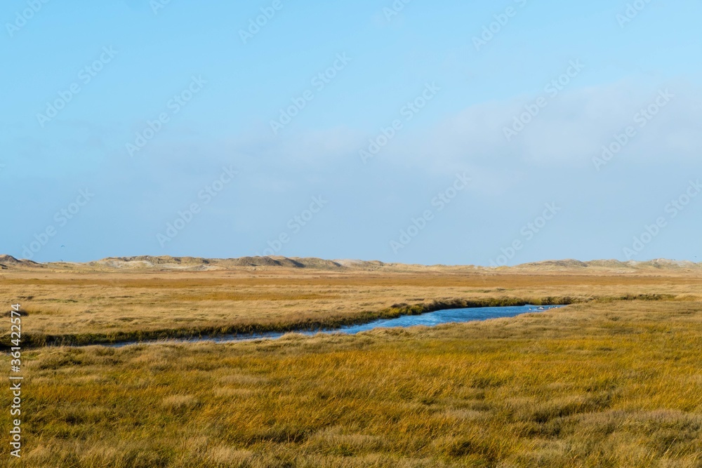 Küstenlandschaft St. Peter-Ording