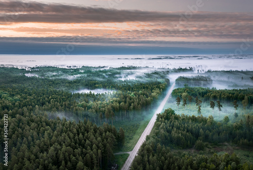 Aerial view of forest at twilight covered in fog.  Impressive light rays going through the tree tops.  