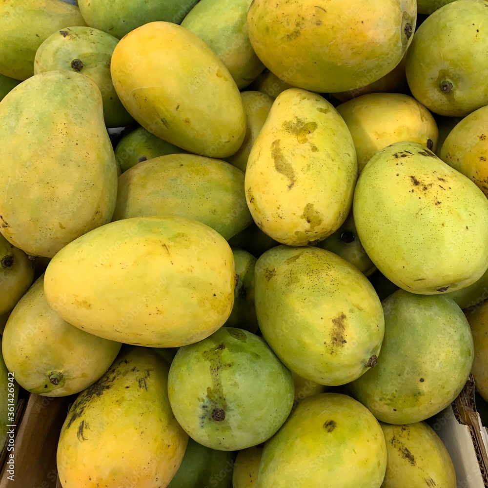 green mango fruit