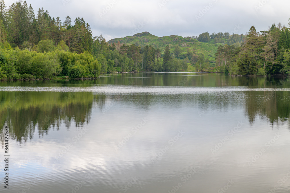 Tarn Hows is one of the most popular place in the Lake district and was once owned by Beatrix Potter who sold Tarn Hows to the National Trust.