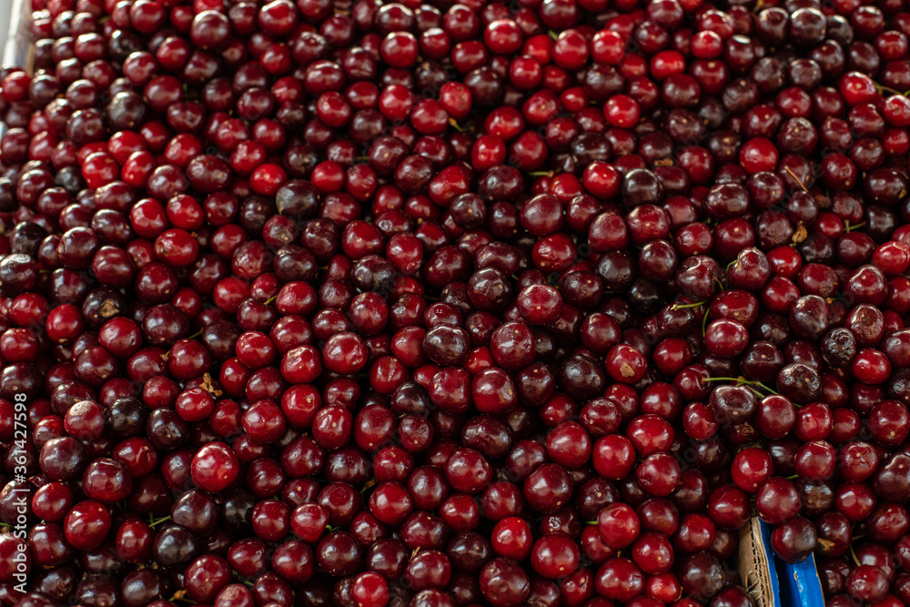 Close up of large collection of fresh red cherries. Ripe cherries background Close up of large collection of fresh red cherries. Ripe cherries background