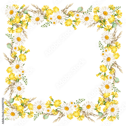 Vector frame with daisies and yellow wild flowers and ears of wheat.  © naddya