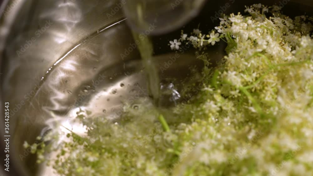 Add water to Elder Flowers in casserole for Juice (Sambucus nigra) - (4K) Add water to Elder Flowers in casserole for Juice (Sambucus nigra) - (4K)