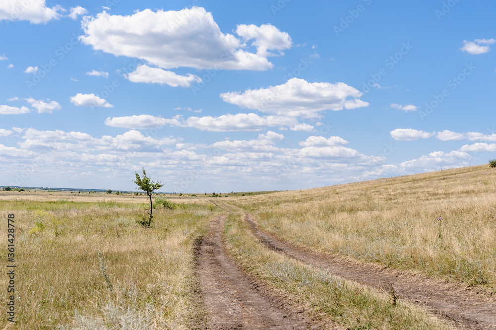 Fototapeta premium outback road in a beautiful place