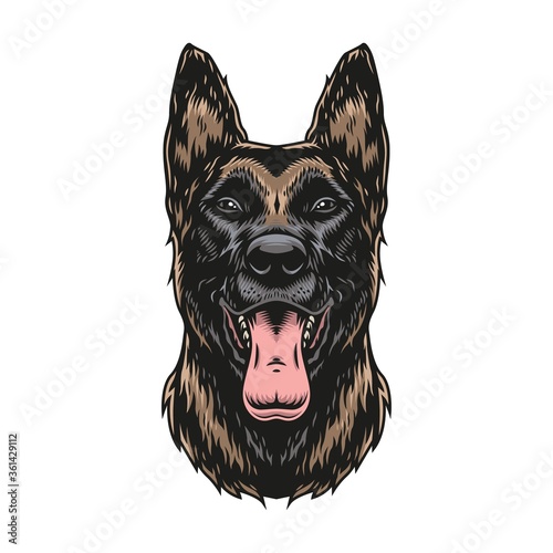 Photography Belgian malinois dog colorful vintage template