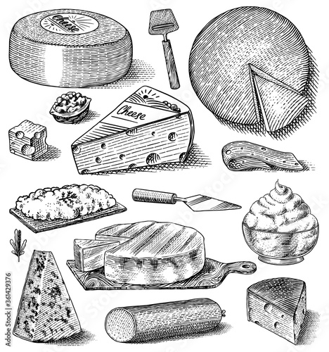 Cheese set. Slices of Mascarpone Bleu de Gex Edam Camembert Mozzarella for market or grocery store. Cheeseboard and Fresh organic milk. Vector Engraved hand drawn sketch for label, poster or menu.