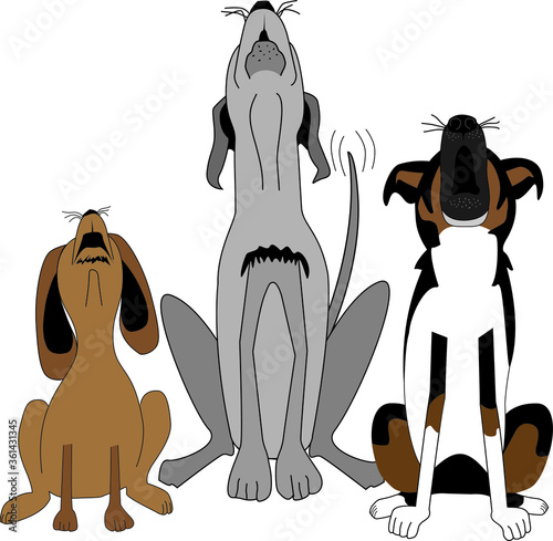 Vector illustration - 3 front-facing dogs in a row howling. Cartoon style. Try-color Australian Shepherd. Gray Doberman. Brown mixed-breed dog. 
