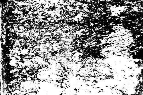 Wallpaper Mural Пкгтпу Щмукдфн Ифслпкщгтв Torontodigital.ca