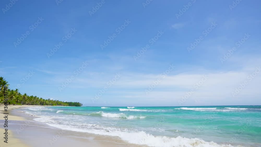 Palm beach and turquoise sea under the blue sky. The Bahamas is a wild paradise sandy beach. Palm beach and turquoise sea under the blue sky. The Bahamas is a wild paradise sandy beach.