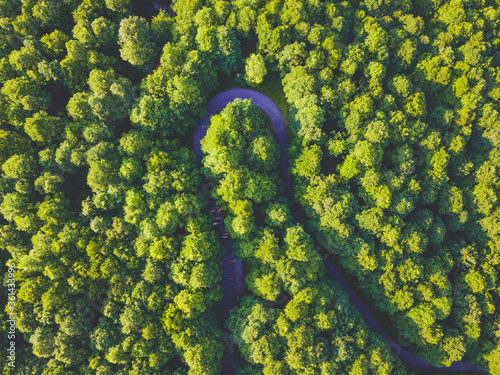 Mountain road on the forest